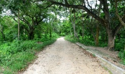 Terreno en Hatillo