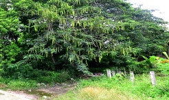 Terreno en Hatillo