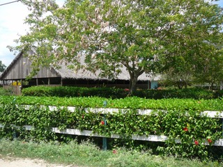 2-bedroom/4-bed appartment in Guavaberry Gulf Club