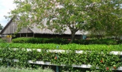 Gracious country villa within Guavaberry Golf Club